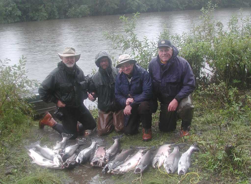 Chinook Salmon on the Akwe River